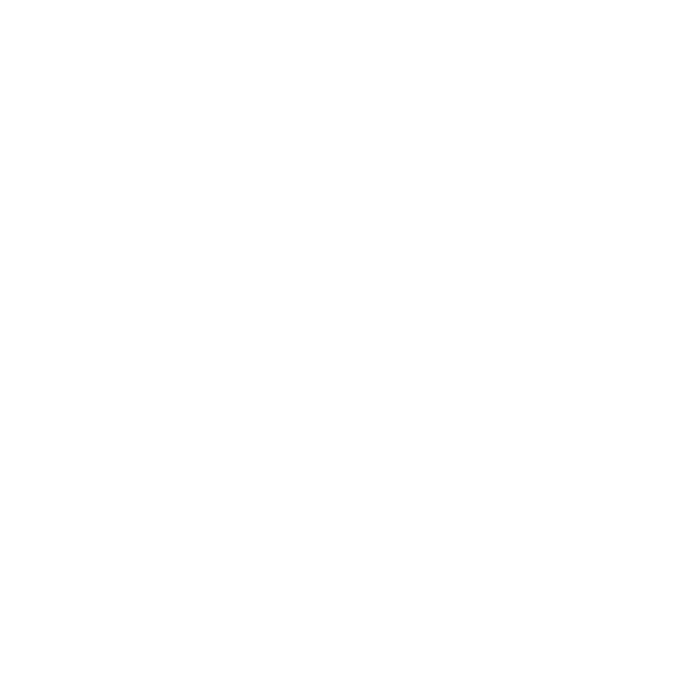 Swagtown logo